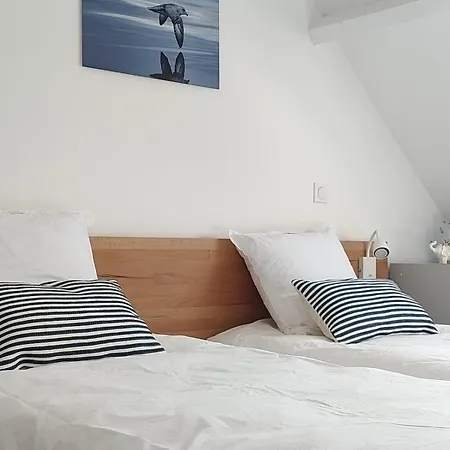 Garenne Bord De - 1 Minute A Pied Quiberon